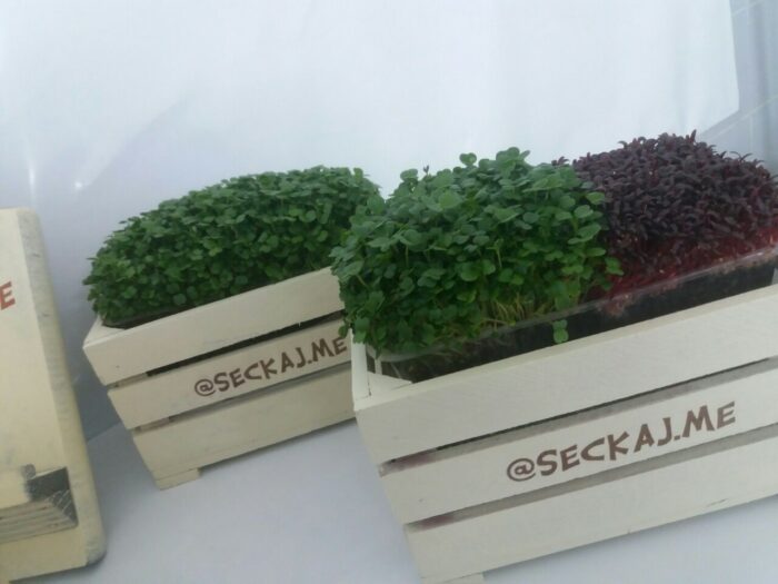 crates for micro herbs